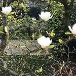 L'atelier Des Magnolias Couette-café