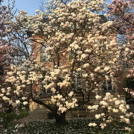 L'atelier Des Magnolias Couette-café