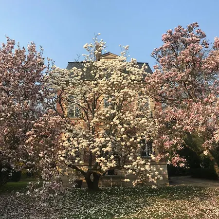 L'atelier Des Magnolias Aumont-en-Halatte