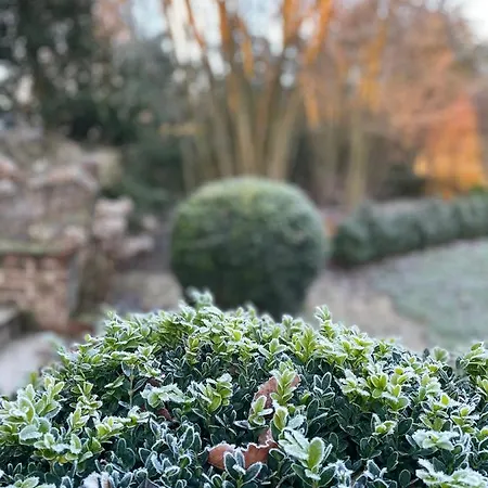 L'atelier Des Magnolias 3* Aumont-en-Halatte