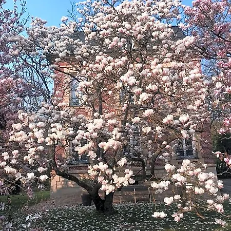 فندق مبيت وإفطار L'atelier Des Magnolias Aumont-en-Halatte