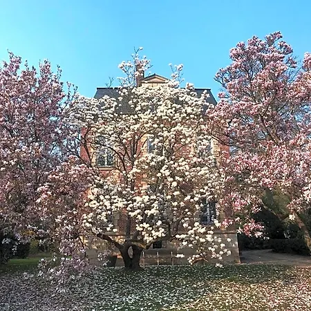 Bed and Breakfast L'atelier Des Magnolias 3*