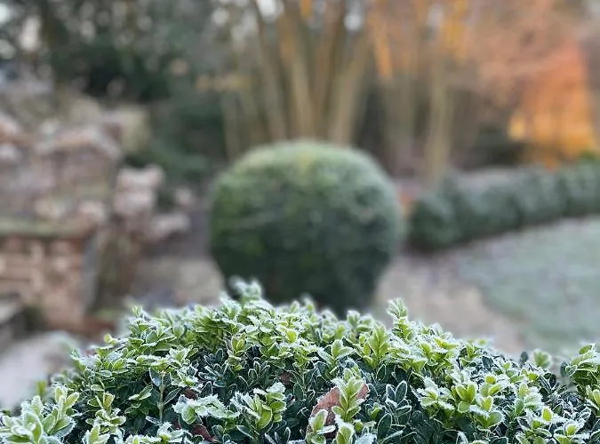 L'atelier Des Magnolias 3* Aumont-en-Halatte